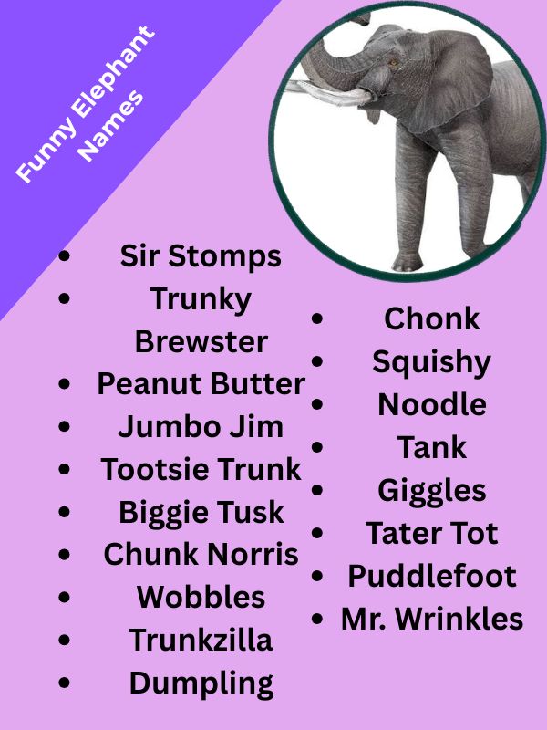 Funny Elephant Names