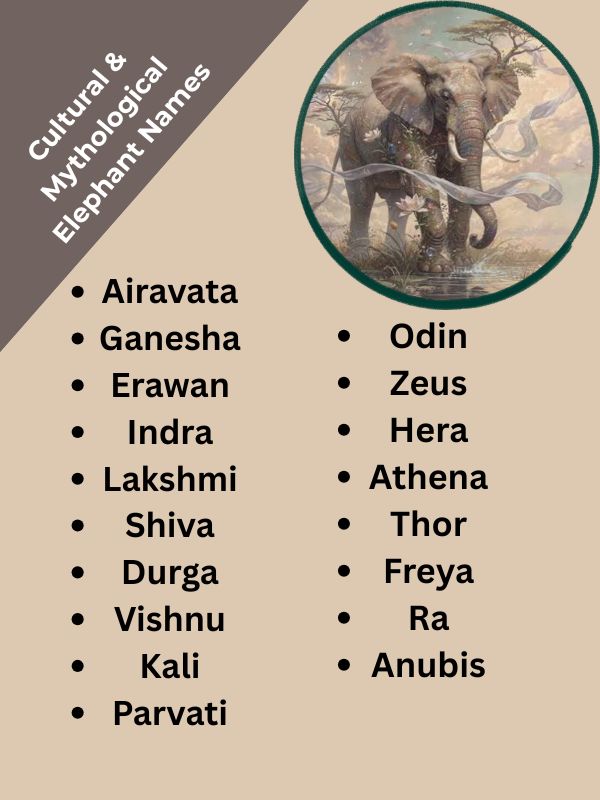 Cultural & Mythological Elephant Names