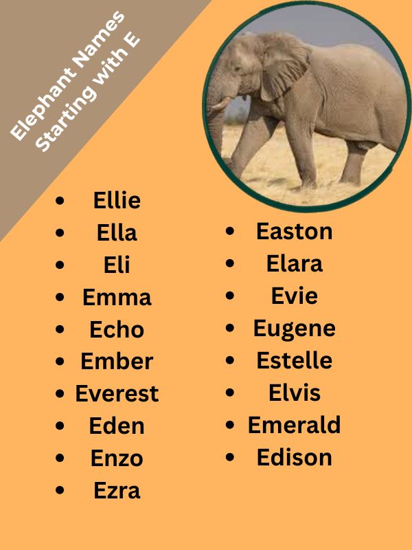 Elephant Names Starting with E