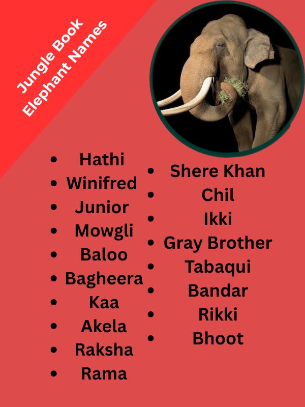 Jungle Book Elephant Names