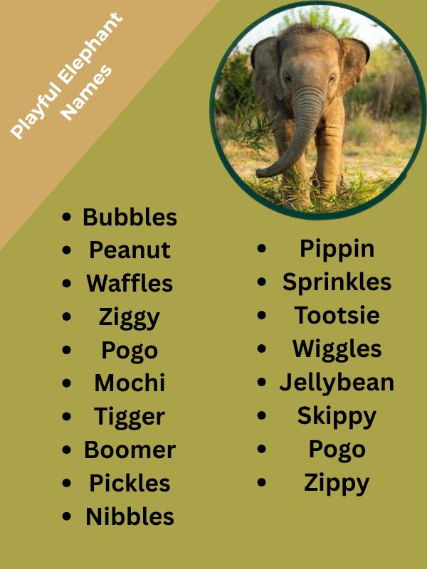Playful Elephant Names