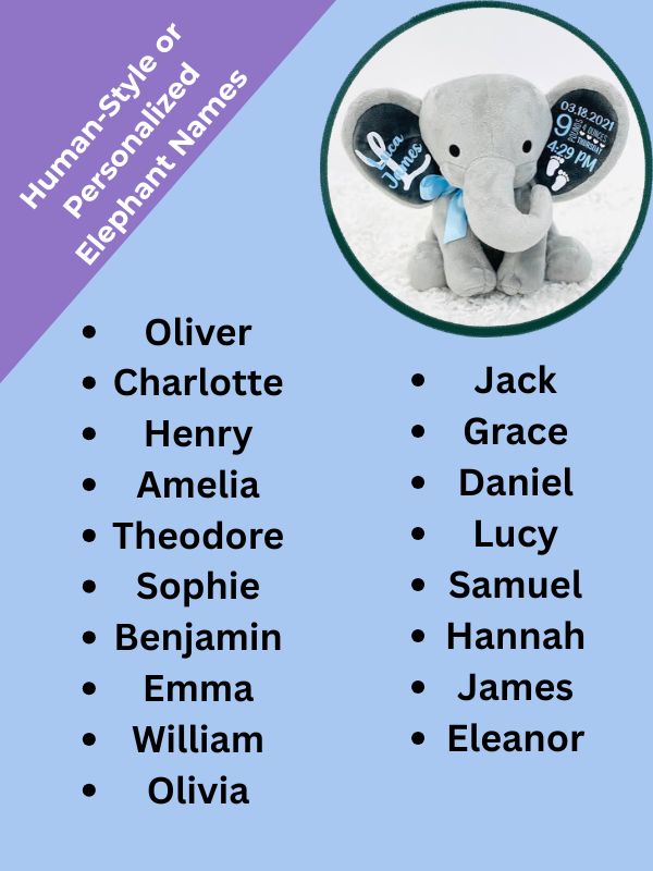 Human-Style or Personalized Elephant Names