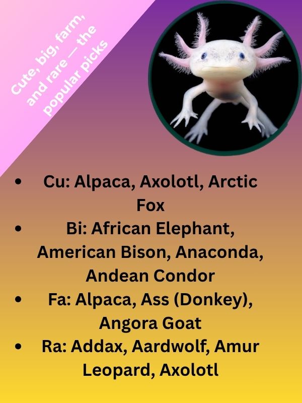 Cute, big, farm, and rare — the popular picks