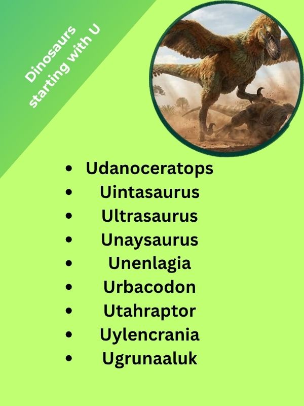 Dinosaurs starting with U
