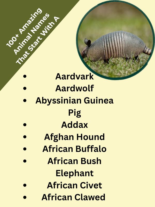 100+ Amazing Animal Names That Start With A 
