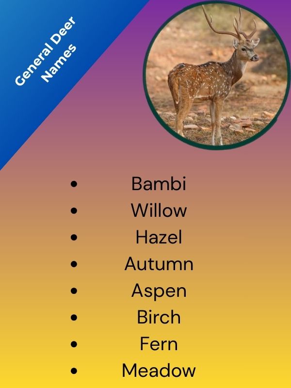 General Deer Names