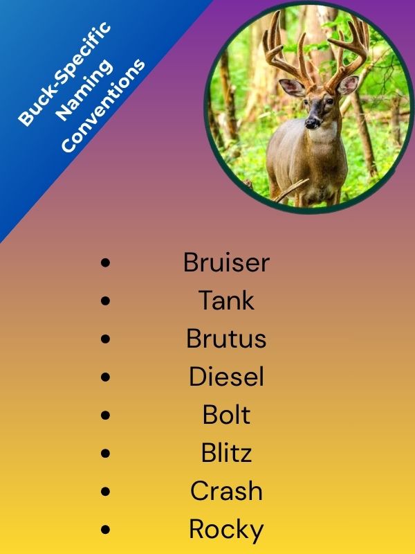 Buck-Specific Naming Conventions