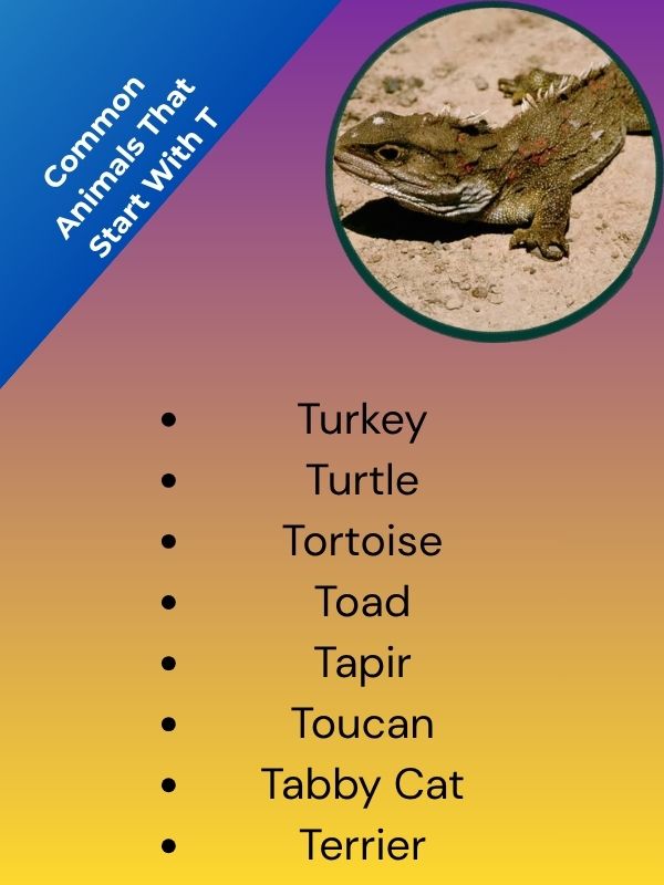 Common Animals That