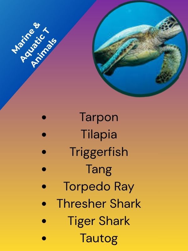 Marine & Aquatic T Animals
