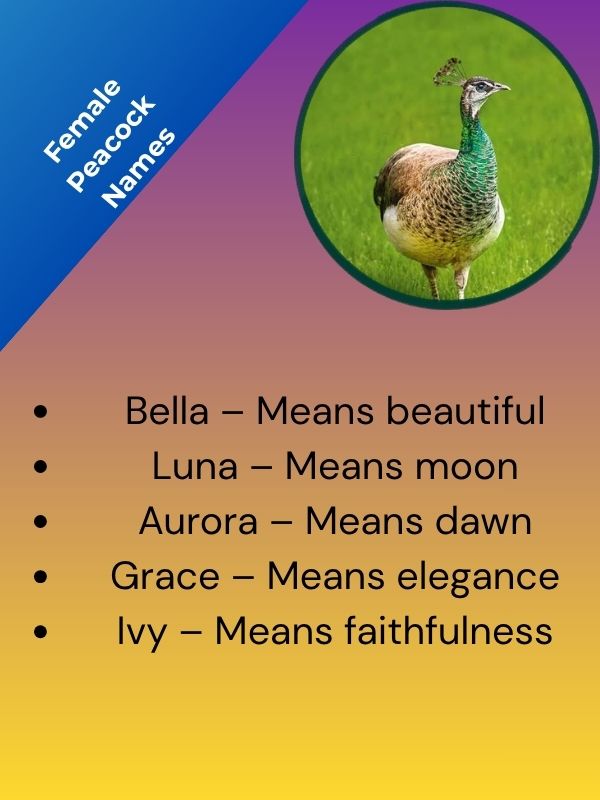 Female Peacock Names