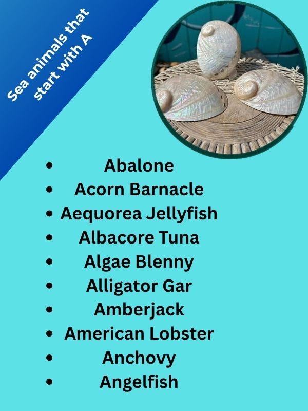 Sea animals that start with A