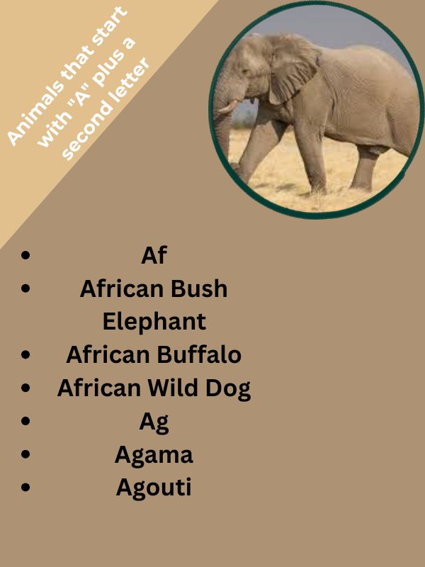 Animals that start with "A" plus a second letter