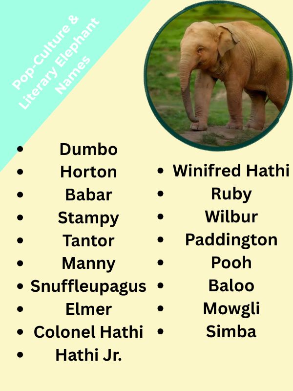 Pop-Culture & Literary Elephant Names