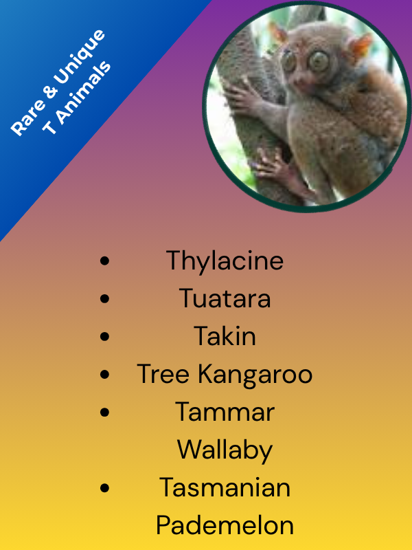 Rare & Unique T Animals