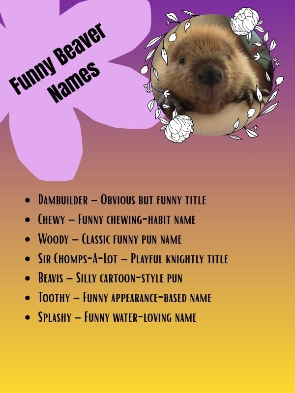 Funny Beaver Names