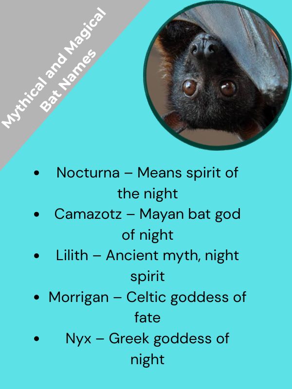 Mythical and Magical Bat Names
