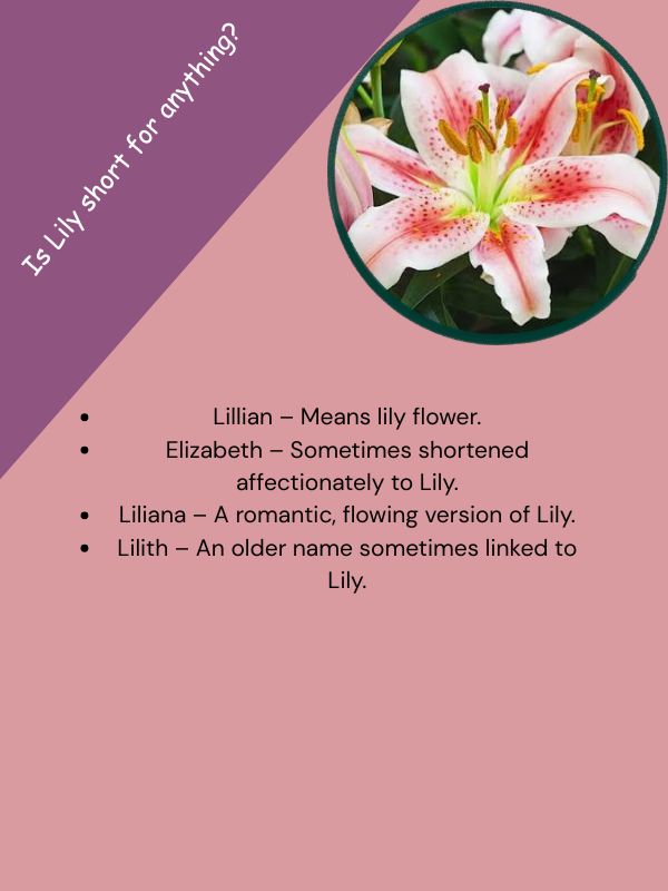 Is Lily short for anything?