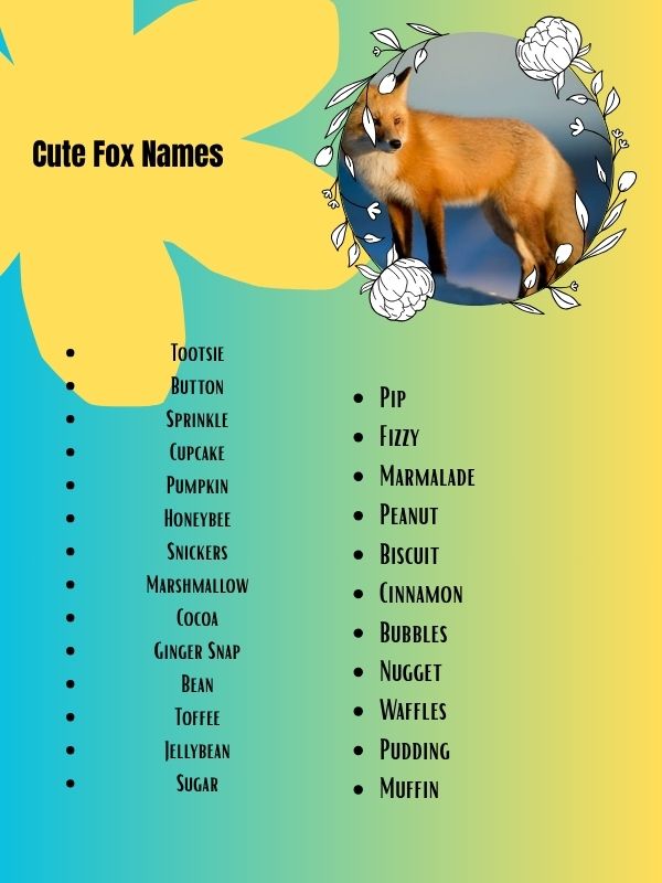 cute fox names