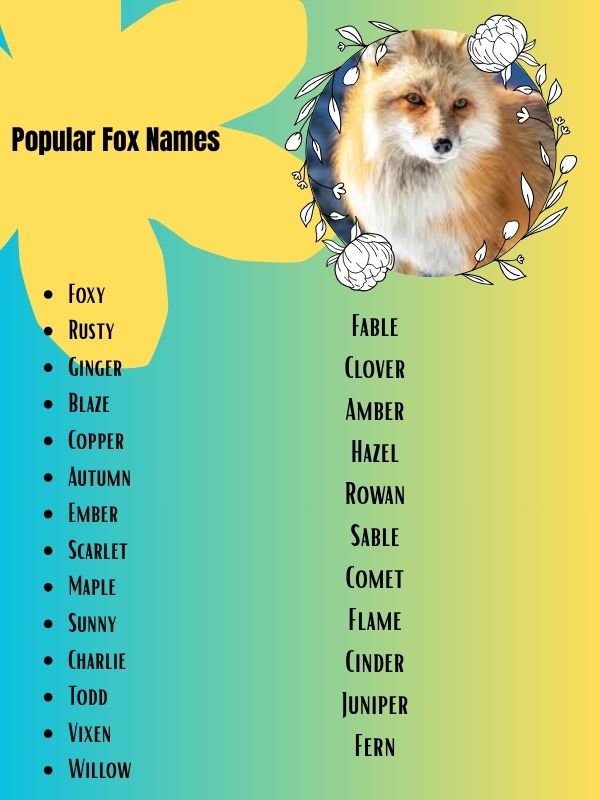 Popular Fox Names
