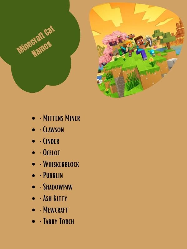 Minecraft Cat Names
