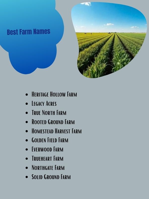 Best Farm Names